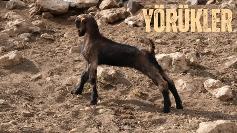 YÖRÜKLER
