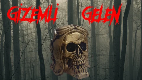 GİZEMLİ GELEN