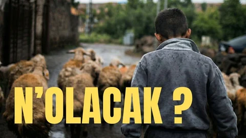-N'olacak?-