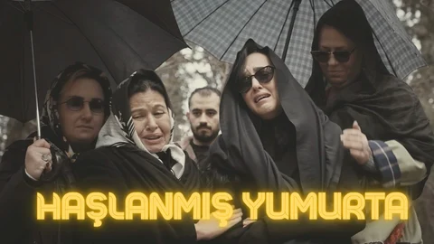 Haşlanmış Yumurta